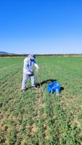 Δειγματοληψία εδάφους στον πιλοτικό αγρό μηδικής του συνεταιρισμού ΘΕΣ ΓΗ.