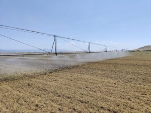 Αρδευση πιλοτικου αγρου σε συνεταιρισμο